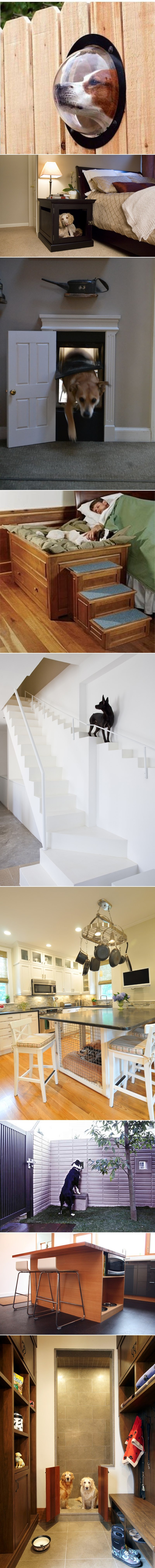 GALERIJA: Uz par trikova do boljeg suživota s našim psima