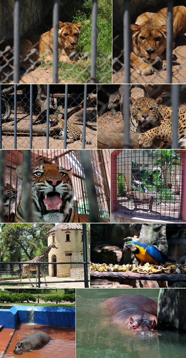 Život iza rešetaka - ZOO realnost