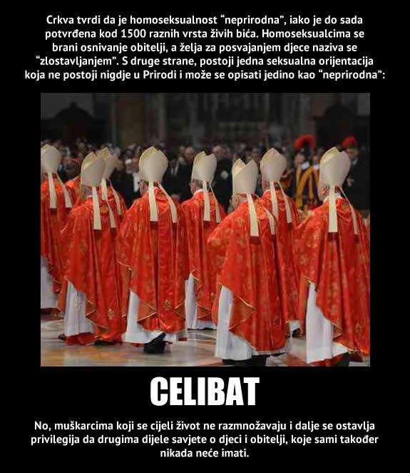 Celibat je normala - biti gej je grijeh?