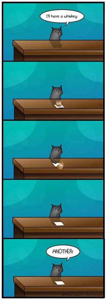 Ron Swanson ima mačku?