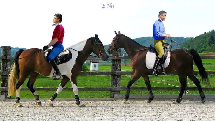 Zoki ili Karamarko: Tko je bolji?