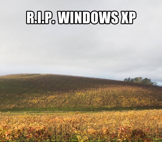 Počivali u miru, Windowsi XP