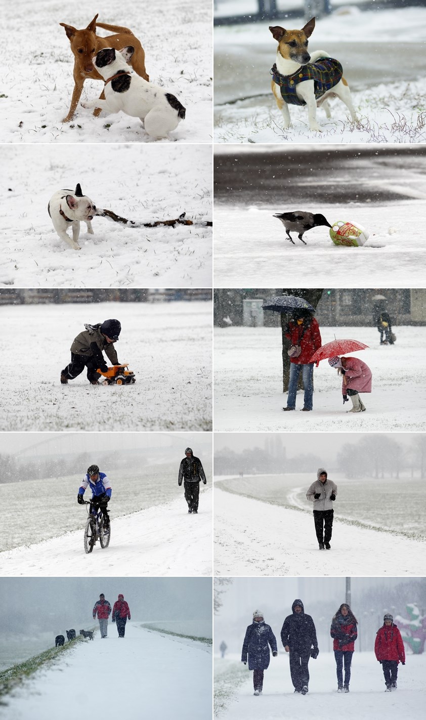 Neki su zimske radosti jedva dočekali