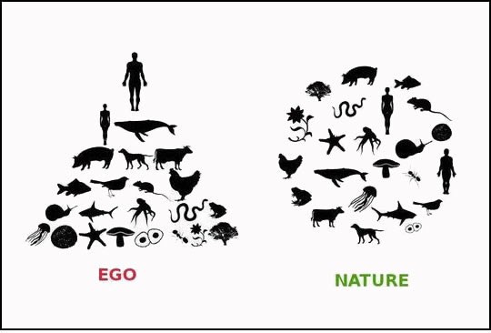 Priroda: Čovjekovo viđenje sebe i realnost