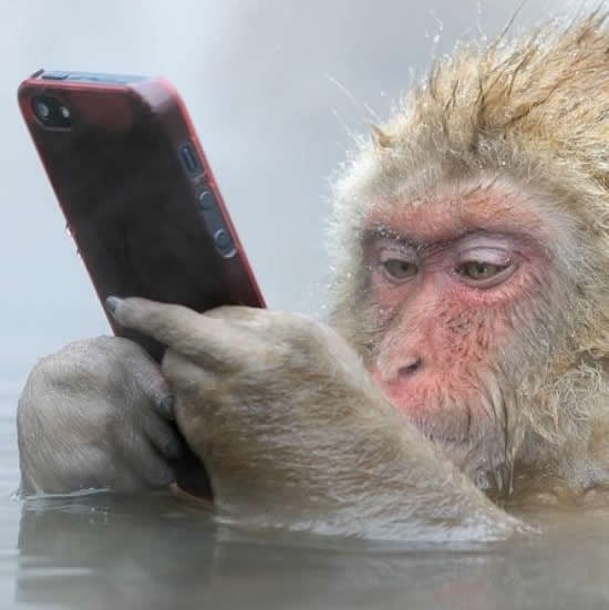 Eto tko lupa minuse po komentarima!