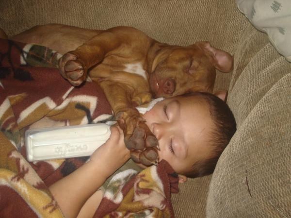 Male junake svladao san