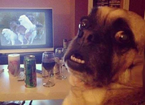 Majke mi, gazda, slučajno to, nije šta misliš!