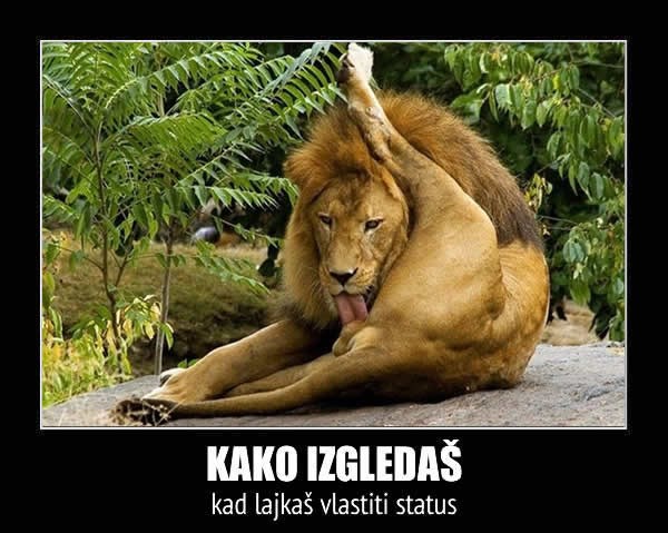 Što mislite o ljudima koji lajkaju vlastite statuse?
