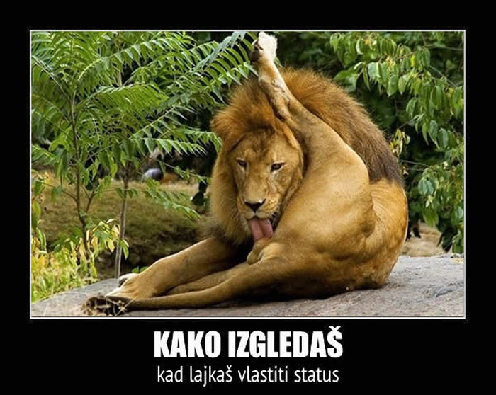 Što mislite o ljudima koji lajkaju vlastite statuse?