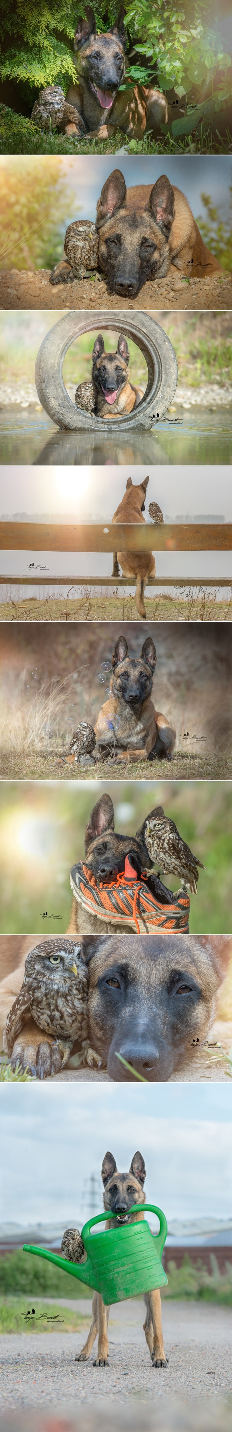 GALERIJA: Prijateljstvo ne bira veličinu i vrstu 