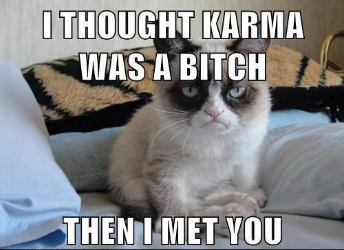 Mrzovoljni mačak nema milosti