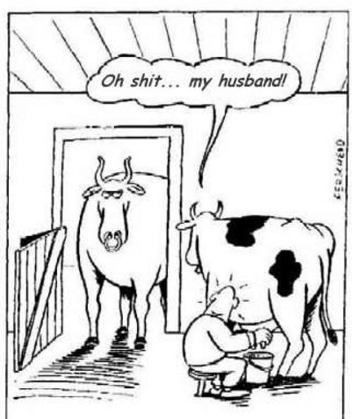 Kravo jedna, nabijaš mi rogove, a!?