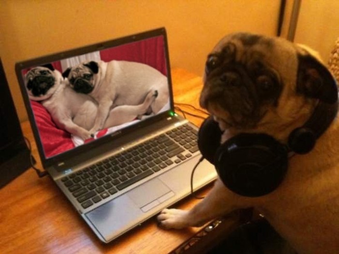 Porno mops