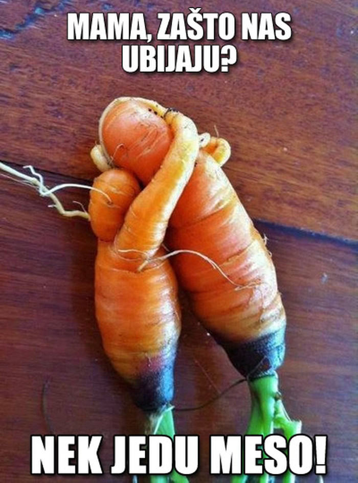 Što reći maloj mrkvici pred kraj? Gdje će nam duša!?