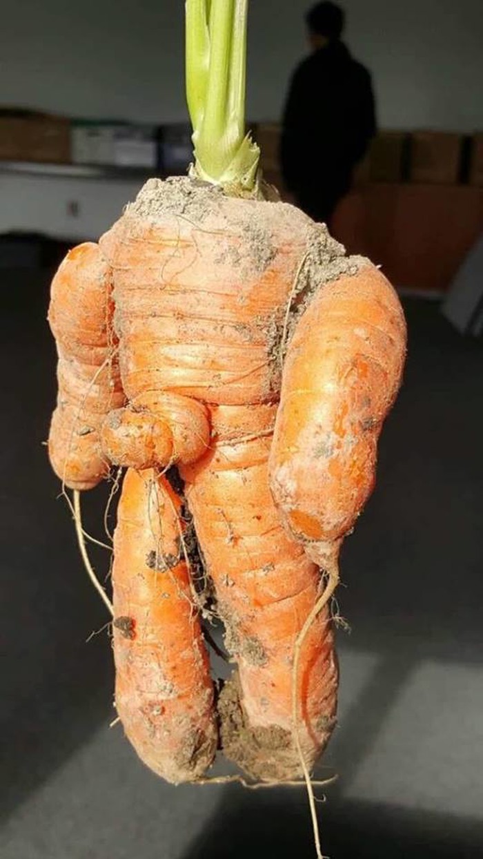 Nije GMO