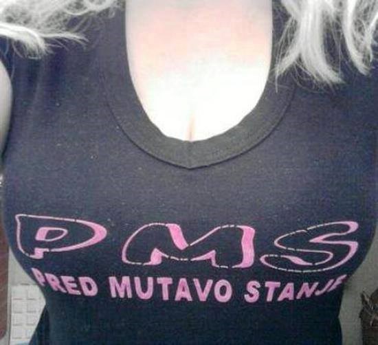 Što znači PMS i je li netko stvarno čitao što piše?