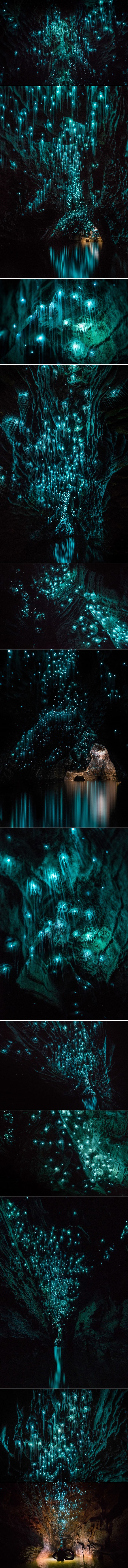 Svjetleći crvi novozelandsku spilju pretvaraju u zvjezdanu noć