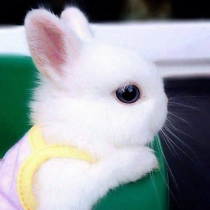 Awwwwwwwww! Ma.. AWWWWW!