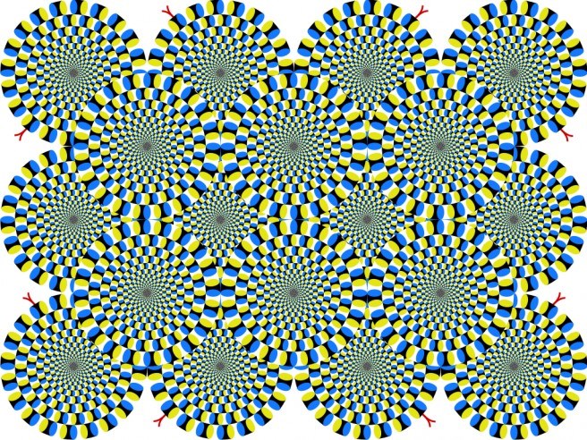 ILUZIJA: Čini vam se da se nešto kreće?