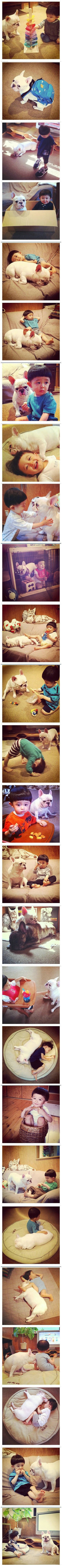 Zaigrani malac i njegov vjerni psić u ludim avanturama