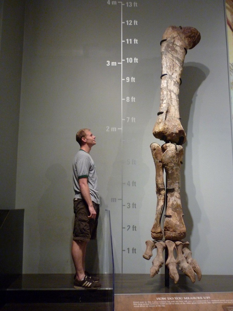 Čovjek vs. dinosaur:Jedva si mu do koljena