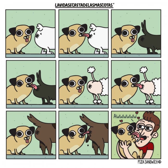 Svom psu puštate da vas liže po licu? Drugi put ćete se sjetiti ove slike!