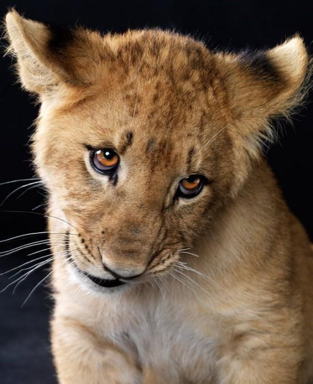 Stvarno misliš da sam slatki?