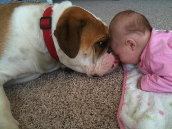 Buraz, iskoristi što si mali i slatki, vjeruj mi