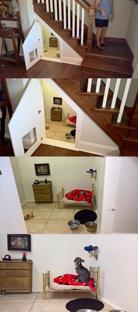 Ovaj psić ima definitivno najbolju kućicu na svijetu