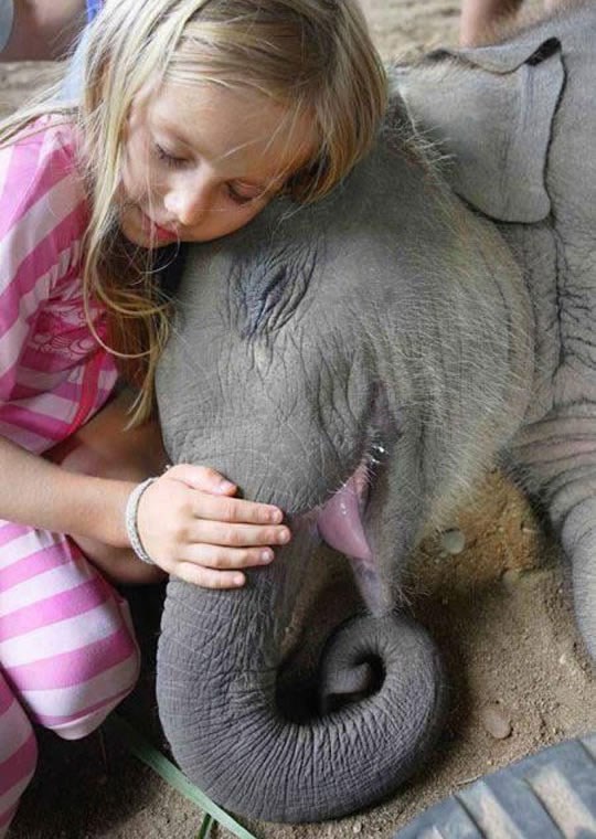 Djeco, budite bolji od nas, volite svako živo biće