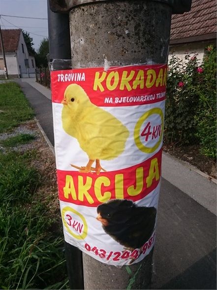 Rasizam je nažalost prisutan i kod prodaje pilića!