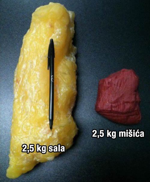 Salo vs. mišići: Sad znaš zašto ne staneš u one hlače