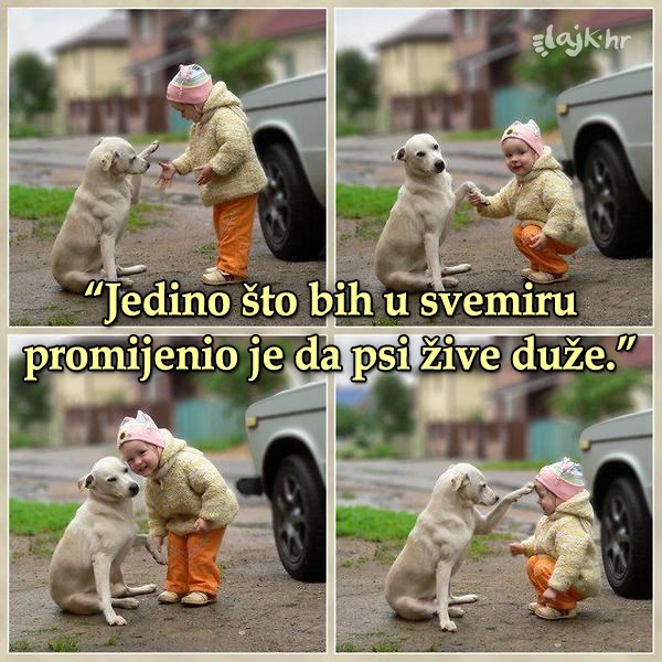 Da imaš jednu želju..