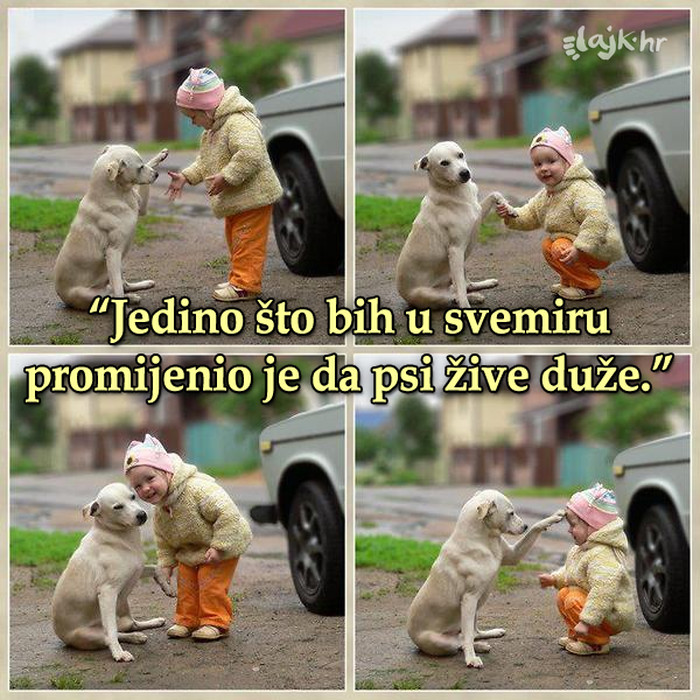 Da imaš jednu želju..