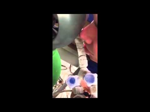 Dokaz da filmske budale postoje oko nas