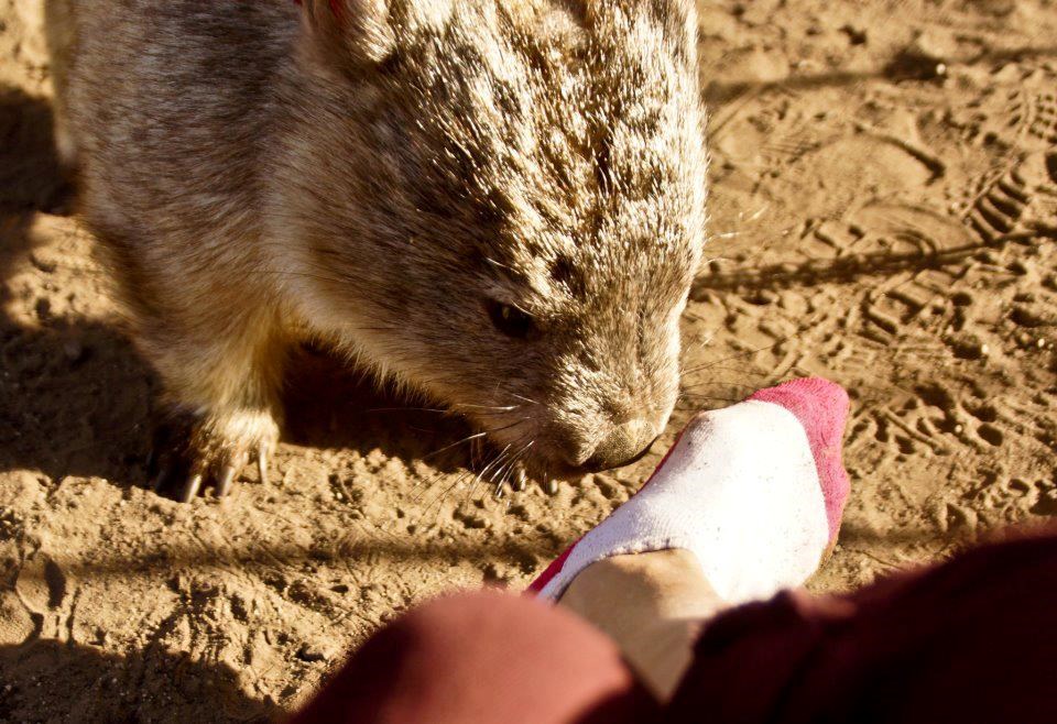 Uh, al' ti noge smrde...