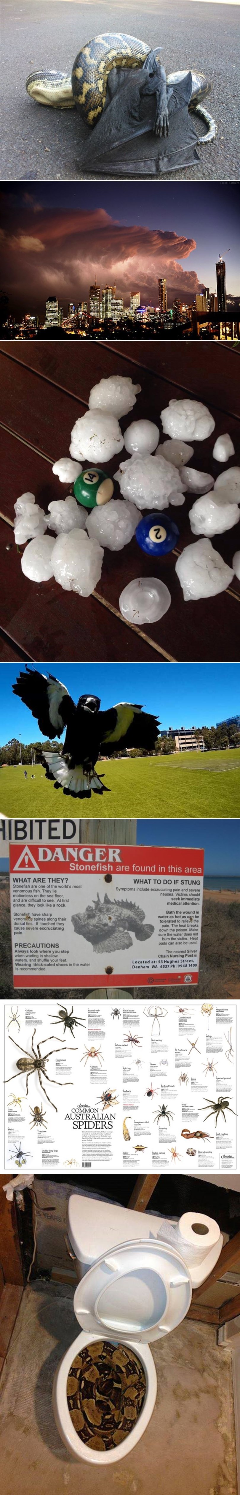 Galerija: Pozdravi iz Australije