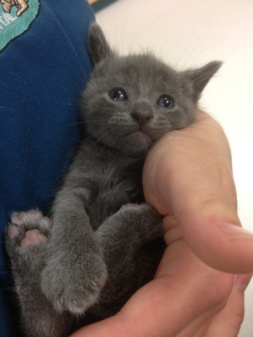 Može li biti slađa? :)