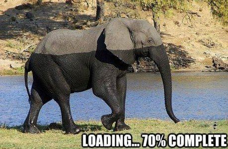 Sunčanje - loading...