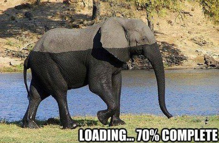 Sunčanje - loading...