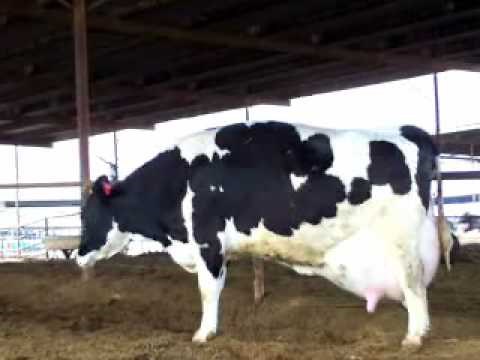 JOŠ BISTE HTJELI!!!
EVO SADA JEDITE!!!