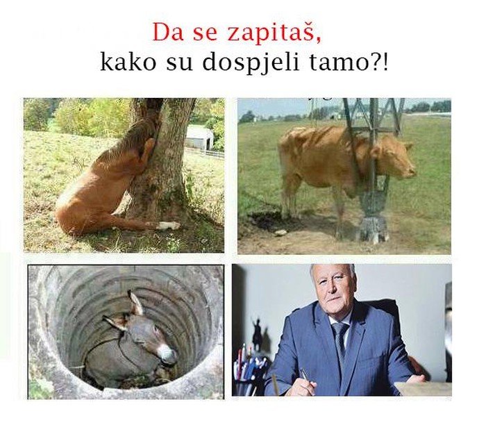 Nemoguće pozicije na kojima su ipak završili