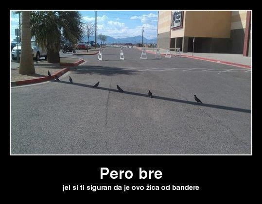 Sjeli na krivu žicu