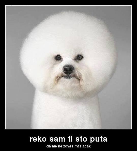 Što učinila si ti od izgleda mog...