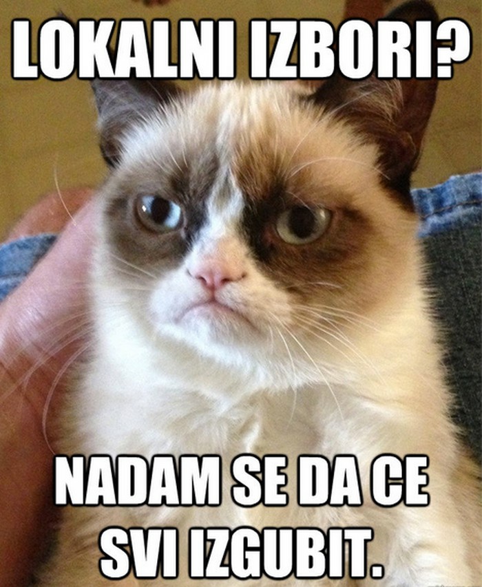 Mrzovoljni mačak podržao izbore u Hrvatskoj