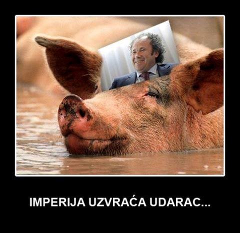 Svinje doznale za "pršuting"