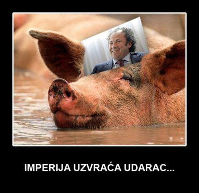 Svinje doznale za "pršuting"