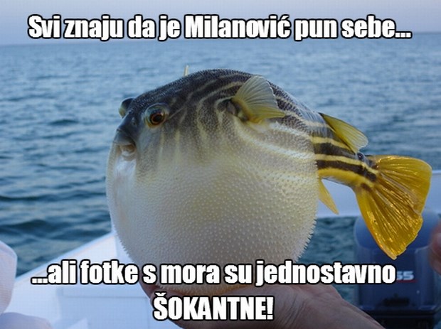 Ekskluzivna fotka napuhanka Milanovića na moru