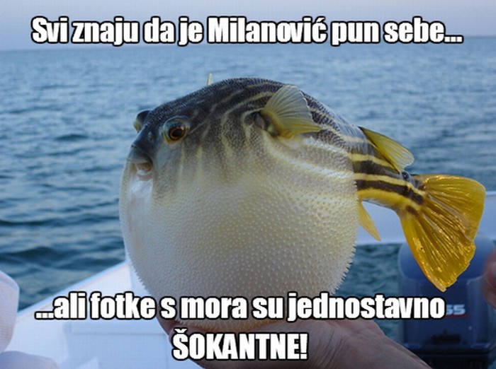 Ekskluzivna fotka napuhanka Milanovića na moru