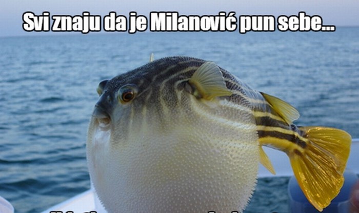 Ekskluzivna fotka napuhanka Milanovića na moru